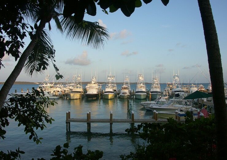 Click to See Next Image